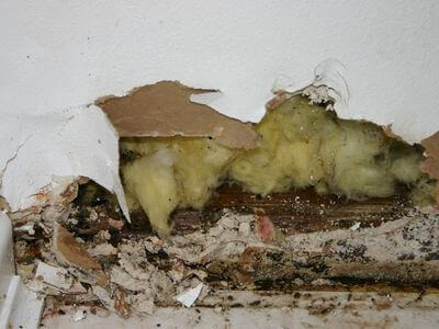 Professional water damage restoration services in Tilton